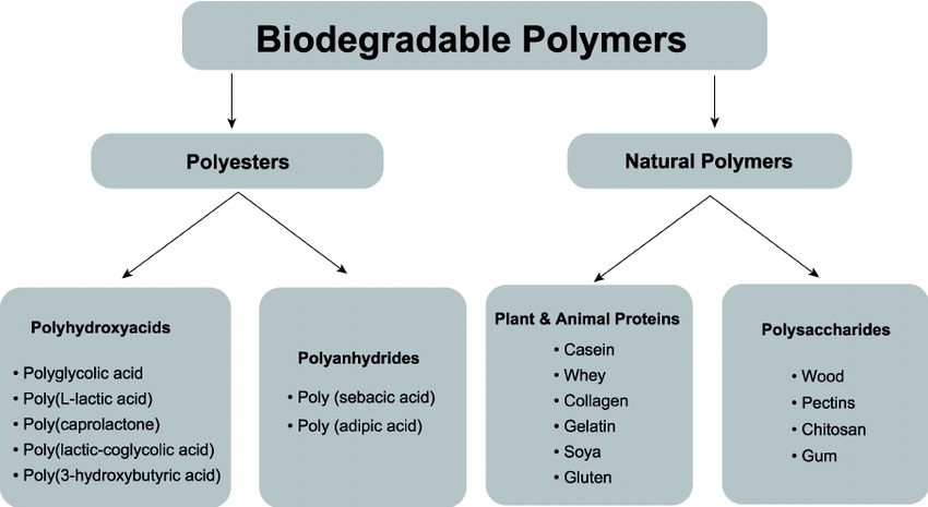 Biodegradable Polymers