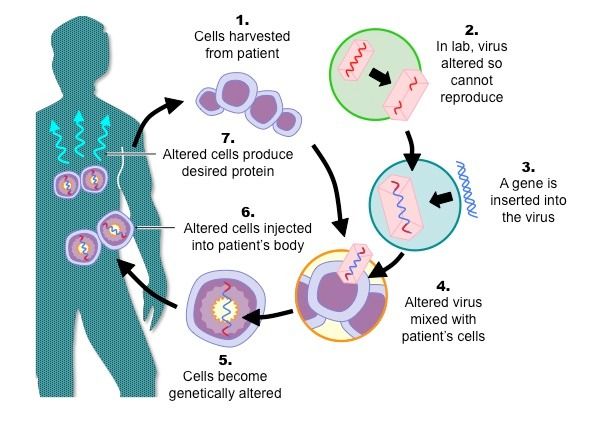 Cancer Gene Therapy Market