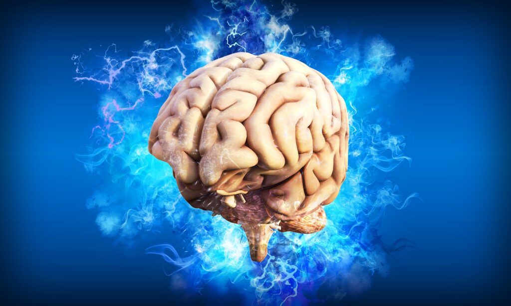 Chronic Brain Damage Management Market