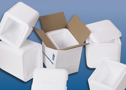 Cold Chain Packaging Market