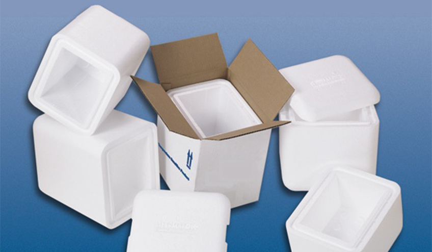 Cold Chain Packaging Market