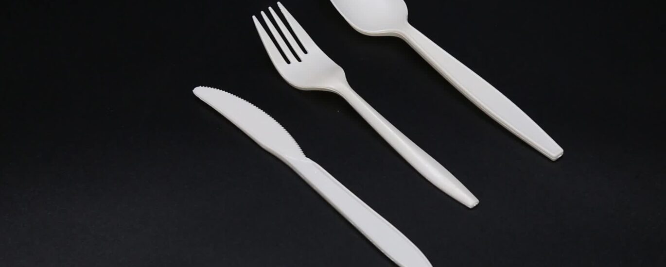 Disposable Cutlery Market