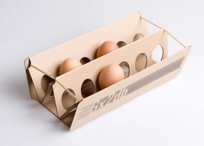 Egg Packaging Market