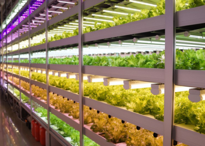 Indoor Farming Market