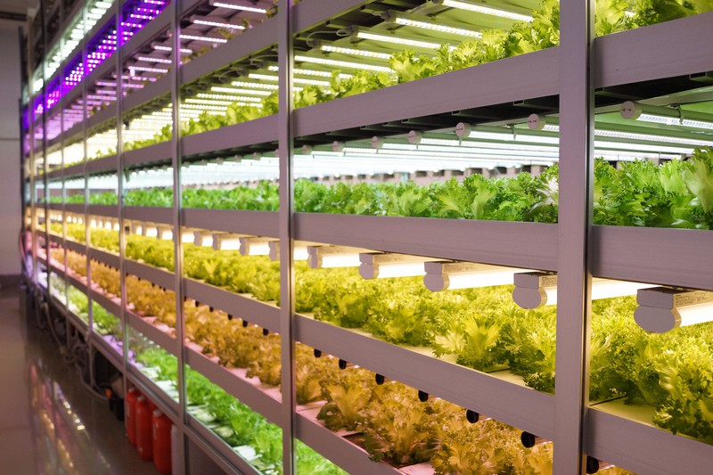 Indoor Farming Market