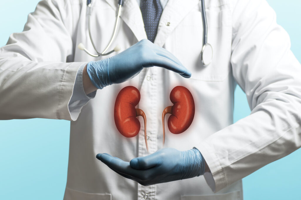 Kidney Transplant Market