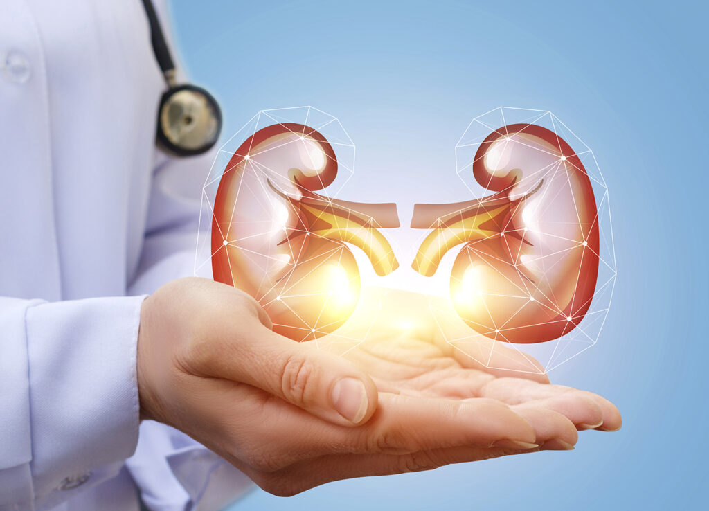 Kidney Transplant Market