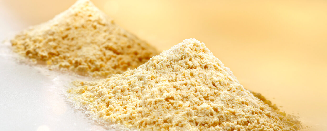 Lecithin and Phospholipids Market