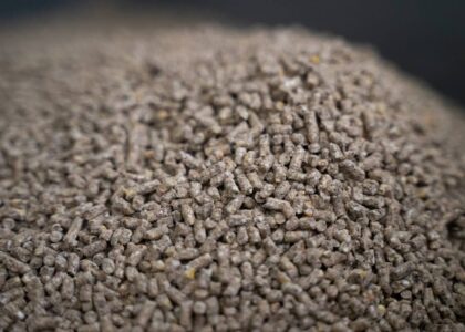 Microbial Feed Additives Market.jpg