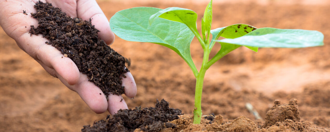 Organic Fertilizer Market