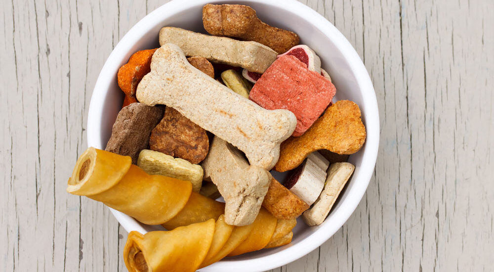 Pet Snacks and Treats Market 