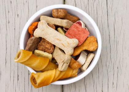 Pet Snacks and Treats Market 