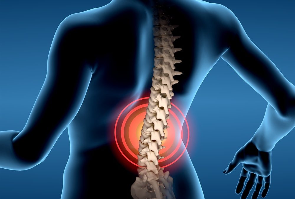 United States Spine Pain Industry