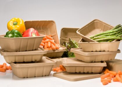 Compostable Plastic Packaging Material Market