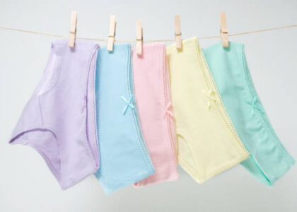 Period Panties Market