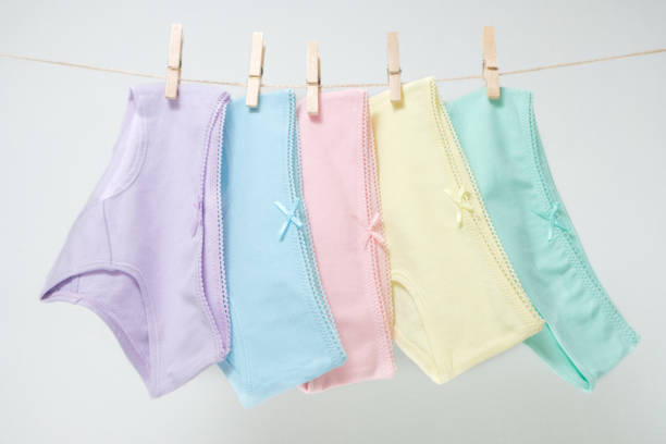 Period Panties Market