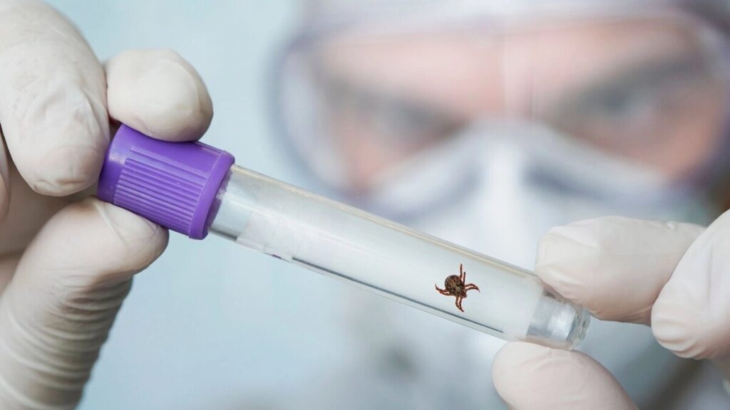 Arthropod-Borne Viral Infections Testing Market