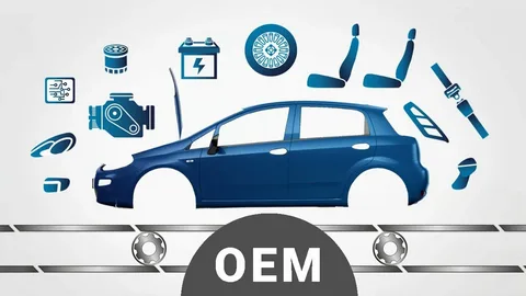 Automotive OEM Market