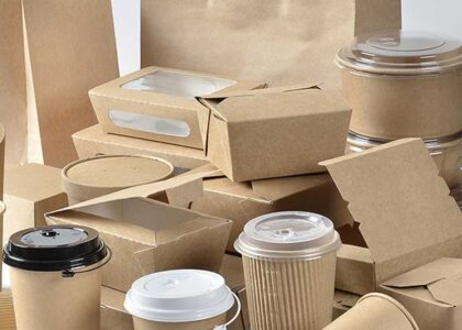 Biodegradable Packaging Market