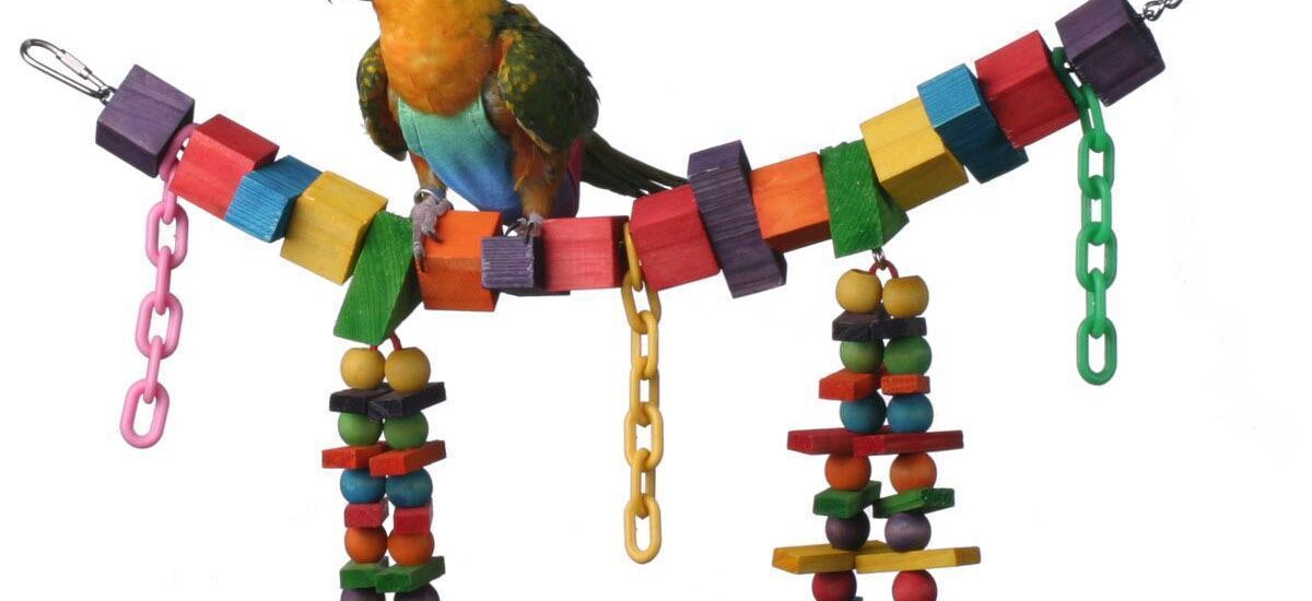 Bird Toys Market