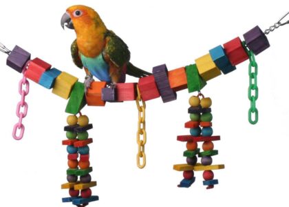 Bird Toys Market