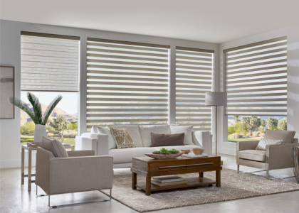 Blinds and Shades Market