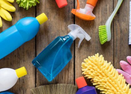 Cleaning and Hygiene Product Market