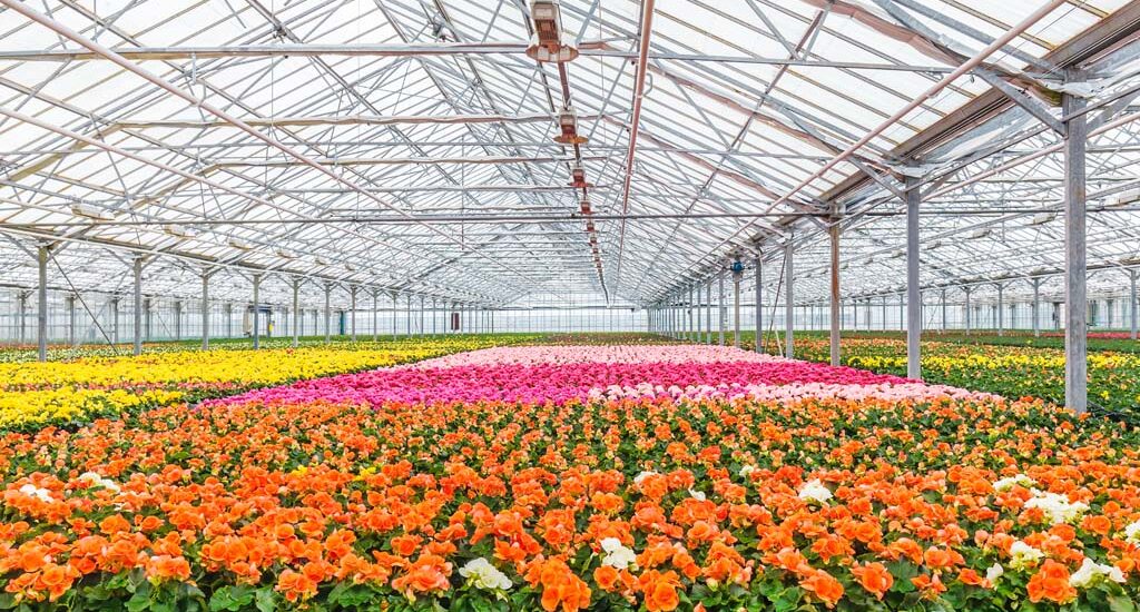 Floriculture Market