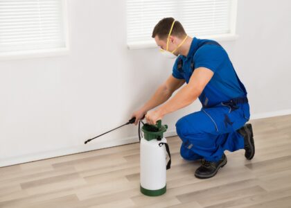 Pest Control Services Market