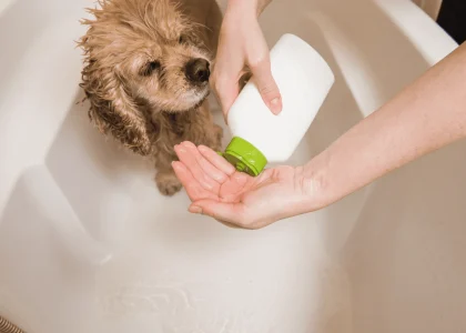 Pet Shampoo Market.jpg