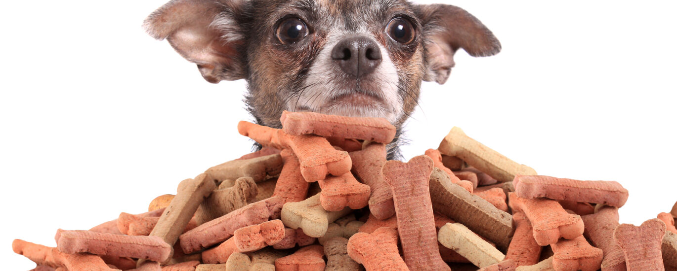 Pet Treats and Chews Market