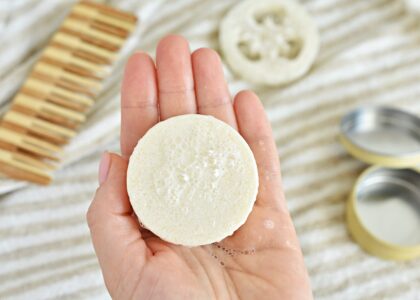 Rice Shampoo Bar Market Forecast