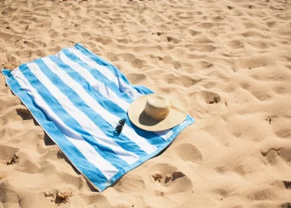 Beach Towels Market