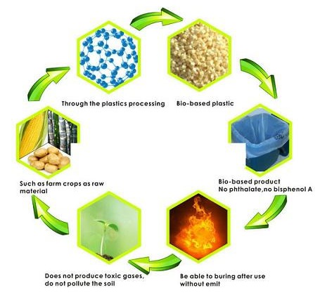 Biodegradable Polymers Market