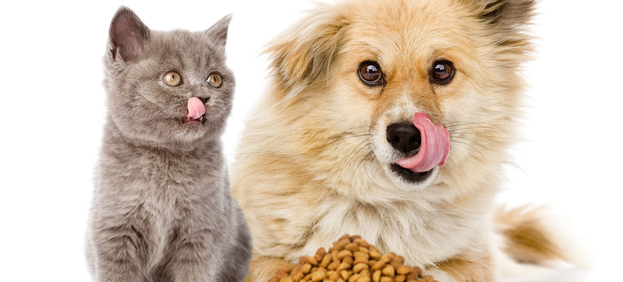 Cat and Dog Food Topper Market