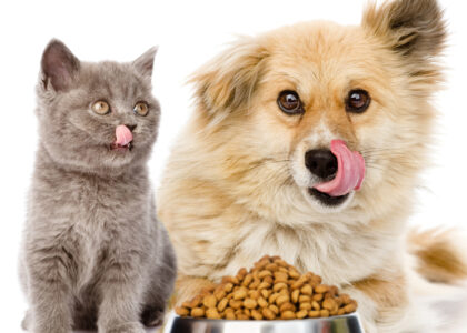 Cat and Dog Food Topper Market