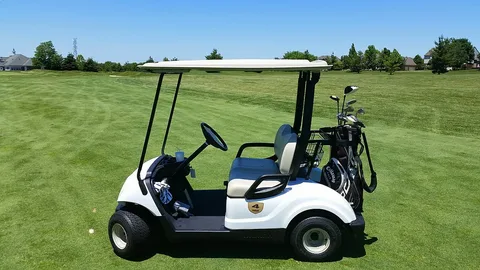 Golf Cart Industry