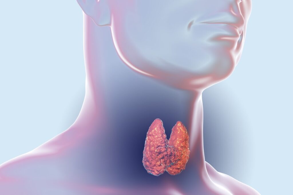 Hashimoto's Thyroiditis Therapeutics Market