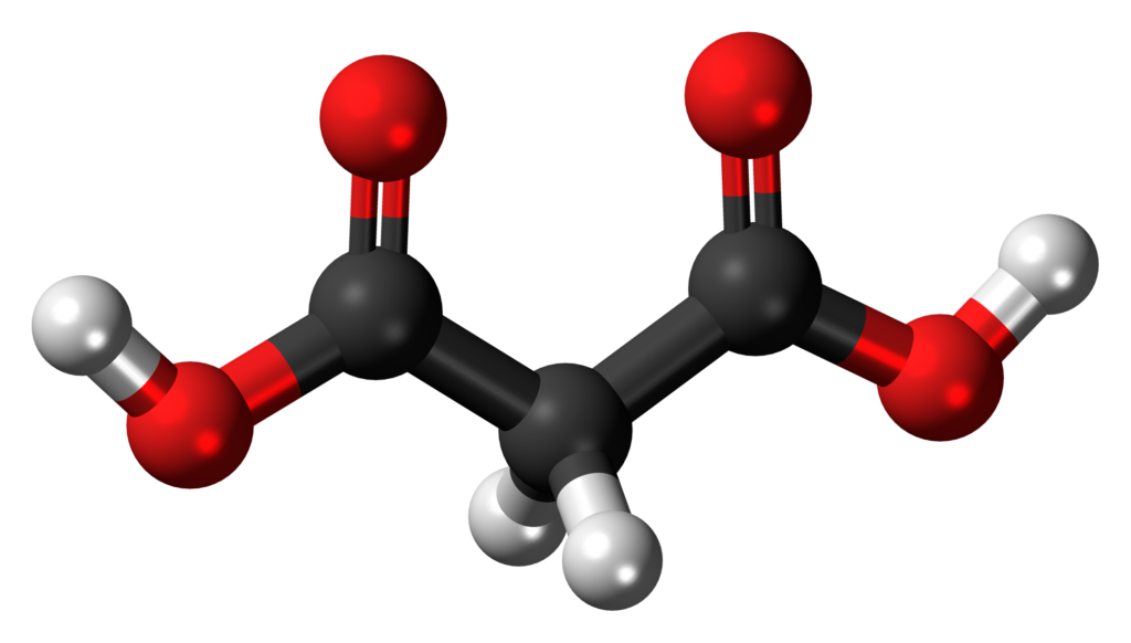 Malonic Acid Market