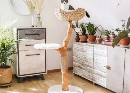 Modern Cat Furniture Market.jpg