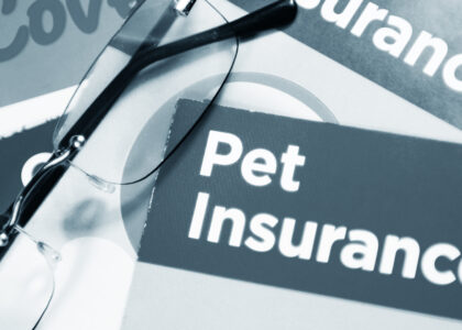 Pet Insurance Market