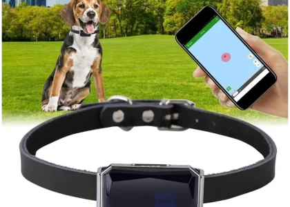 Smart Pet Collar Market.jpg