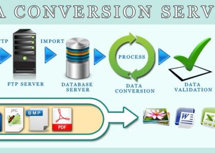 Data Conversion Services Market