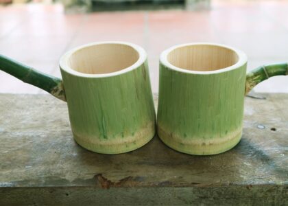 Bamboo Cups Market