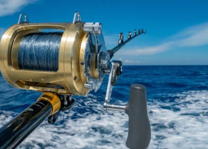 Fishing Reels Market