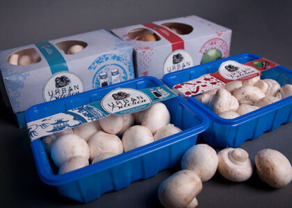 Mushroom Packaging Market