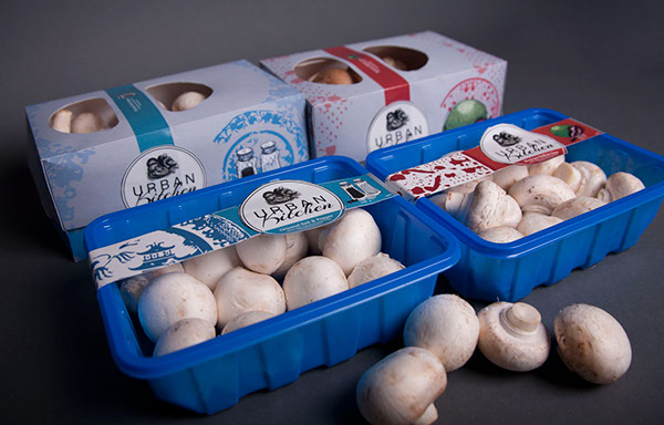 Mushroom Packaging Market