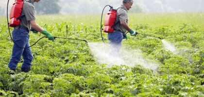 Agri Natural Enemy Pest Control Market