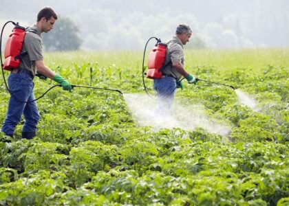 Agri Natural Enemy Pest Control Market