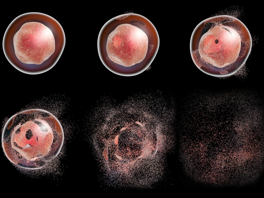 Apoptosis Testing Market